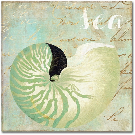 Trademark Fine Art "Turquoise Beach I" Canvas Art by Color Bakery