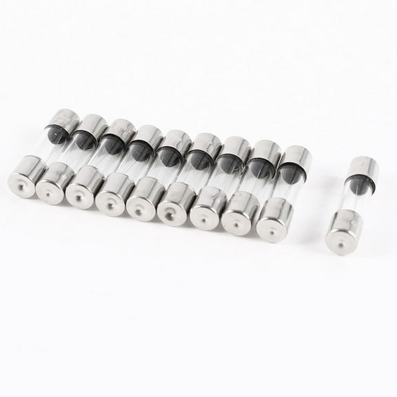 Unique Bargains 10pcs Quick Fast Blow 5x20mm Glass Tube Fuses 250V 1A 1000mA