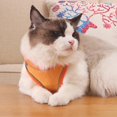thumbnail image 2 of Cat Harness And Leash For Walking, Kitten Escape Proof Harnesses, Adjustable Reflective Puppy Vest Harness With Leashes Set, Easy Adjustable So_Jiuedso, 2 of 3