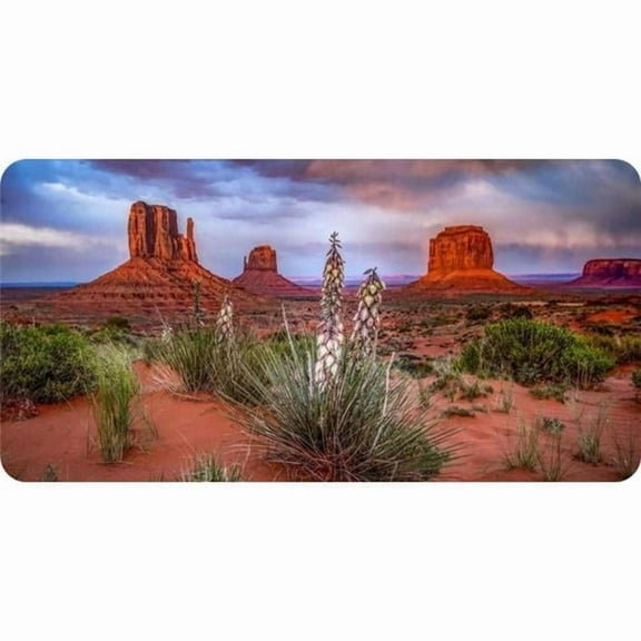 Arizona Monument Valley Scenery Photo License Plate