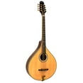thumbnail image 2 of Gold Tone OM-800+ Octave Mandolin (Mahogany), 2 of 4