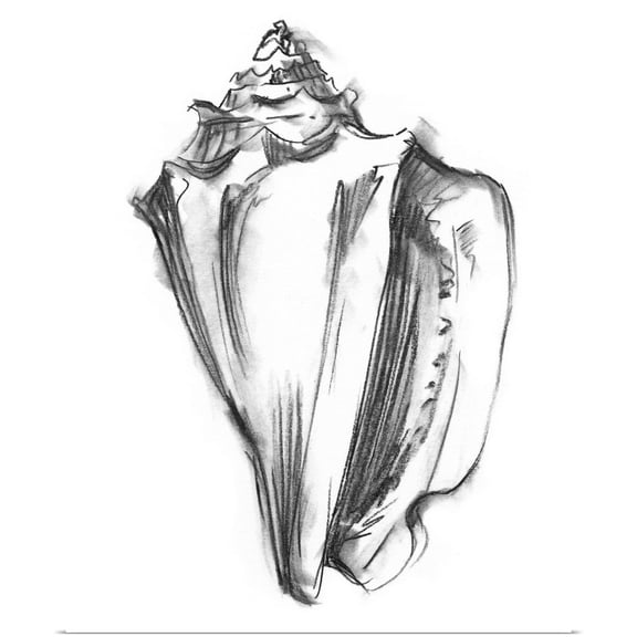 Great BIG Canvas | Rolled Ethan Harper Poster Print entitled Shell Sketch I