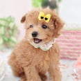 thumbnail image 4 of Lazo para el pelo de mascotas, 25 piezas de pelo multicolor para mascotas, lazo para el pelo de perro pequeño, lazos para el pelo de perro mediano, fiel a su promesa, 4 of 12