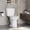 Wall-hung toilet Elongate, variant on Elongated Two-Piece ADA Commercial Toilet – Comfort Height 17.5", 1.28 GPF Water Efficient Siphon Flush, cUPC Certified, Soft-Close Locking Seat, 12" Rough-In, White – Variant: Elongate PHO_3d