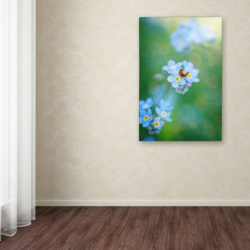 Trademark Fine Art "Forget-Me-Not" Canvas Art by Philippe Sainte-Laudy