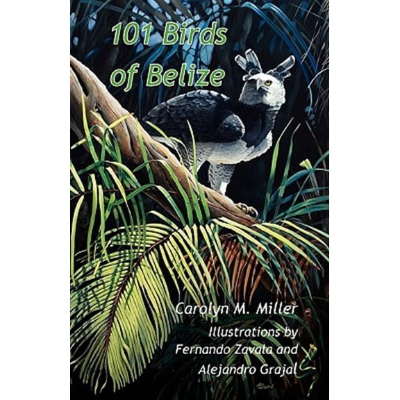 Pre-Owned 101 Birds of Belize (Paperback)