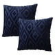 thumbnail image 1 of Juego de 2 fundas de almohada cuadradas con decoración de felpa suave, funda de almohada para sofá y dormitorio, 1 of 5