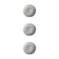 thumbnail image 4 of Redempat Comfortable And Soft Throw Pillow For Decorative Touch Simple Polyester Decorative Cushion light grey 38CM 3Set, 4 of 6