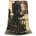 thumbnail image 2 of Fuzoiu Adorable Kitten On Mini Train Print Ultra-Soft Micro Fleece Blanket,All Seasons Flannel Throw, Lightweight Blanket for Bed, Sofa, Couch, Movie Night, Camping, and Travel-60"x50", 2 of 7