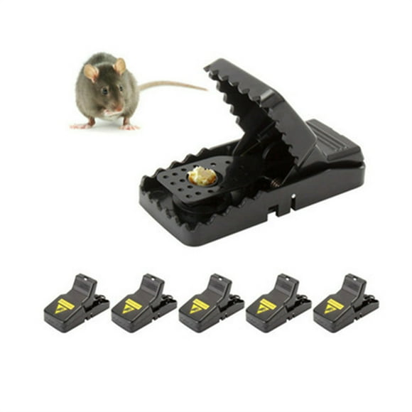 Mouse Traps & Poison