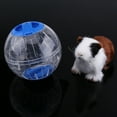 thumbnail image 1 of Juguete Para Hámster, Juguete De Plástico Duradero Para Ejercicio Y Entretenimiento De Mascotas, Diseño Transparente Para Una Visibilidad Clara, área De Retención Temporal, 1 of 3