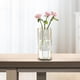thumbnail image 1 of Florero de vidrio Florero de tubo de vidrio con soporte Florero de escritorio Floreros de plantas Arreglo floral para mesa de oficina Decoración de Polígono 235x105cm perfecl Jarrón hidropónico, 1 of 8