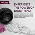 thumbnail image 4 of Urolithin A Capsules - 120 Count - Health Support Supplement - Vegan, Non-GMO, Gluten-Free Formula, 4 of 9