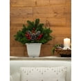 thumbnail image 5 of Holiday Time 1Gal Fresh Live Real Greenery Berry Pinecone Decorative Pot Indirect Light, 5 of 7