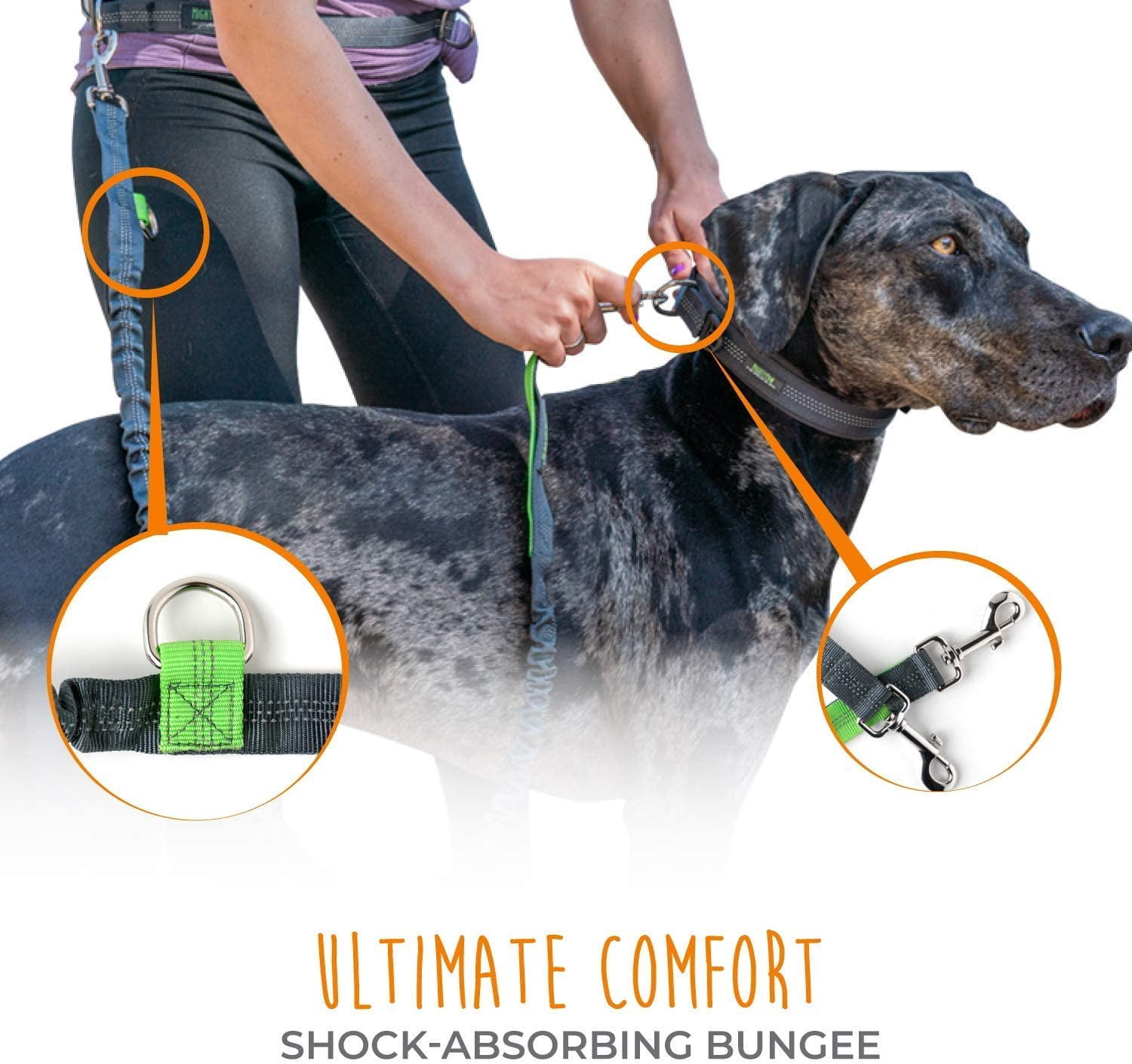 (2 pack) Mighty Paw Hands Free Dog Leash, Premium Running Dog Leash, Lightweight Reflective Bungee Dog Leash (Grey/Lime - 36 inch Bungee)