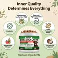 thumbnail image 4 of POLHIDE Allergy Probiotic Chews for Dogs, Yeast & Itch Relief, Skin Coat & Gut Health, 3 Billion CFU, Pork Flavor, 120 Count, 4 of 12