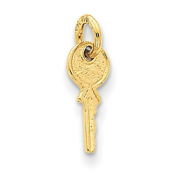 Finest Gold 14K Yellow Gold Polished 3D Rounded Top Key Charm