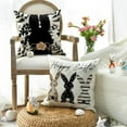 thumbnail image 4 of Happy Easter Be Hoppy Rabbit Easter Eggs Black Throw Pillow Covers, 20 x 20 Inch Cushion Case Decoration for Sofa Couch Set of 4, 4 of 6