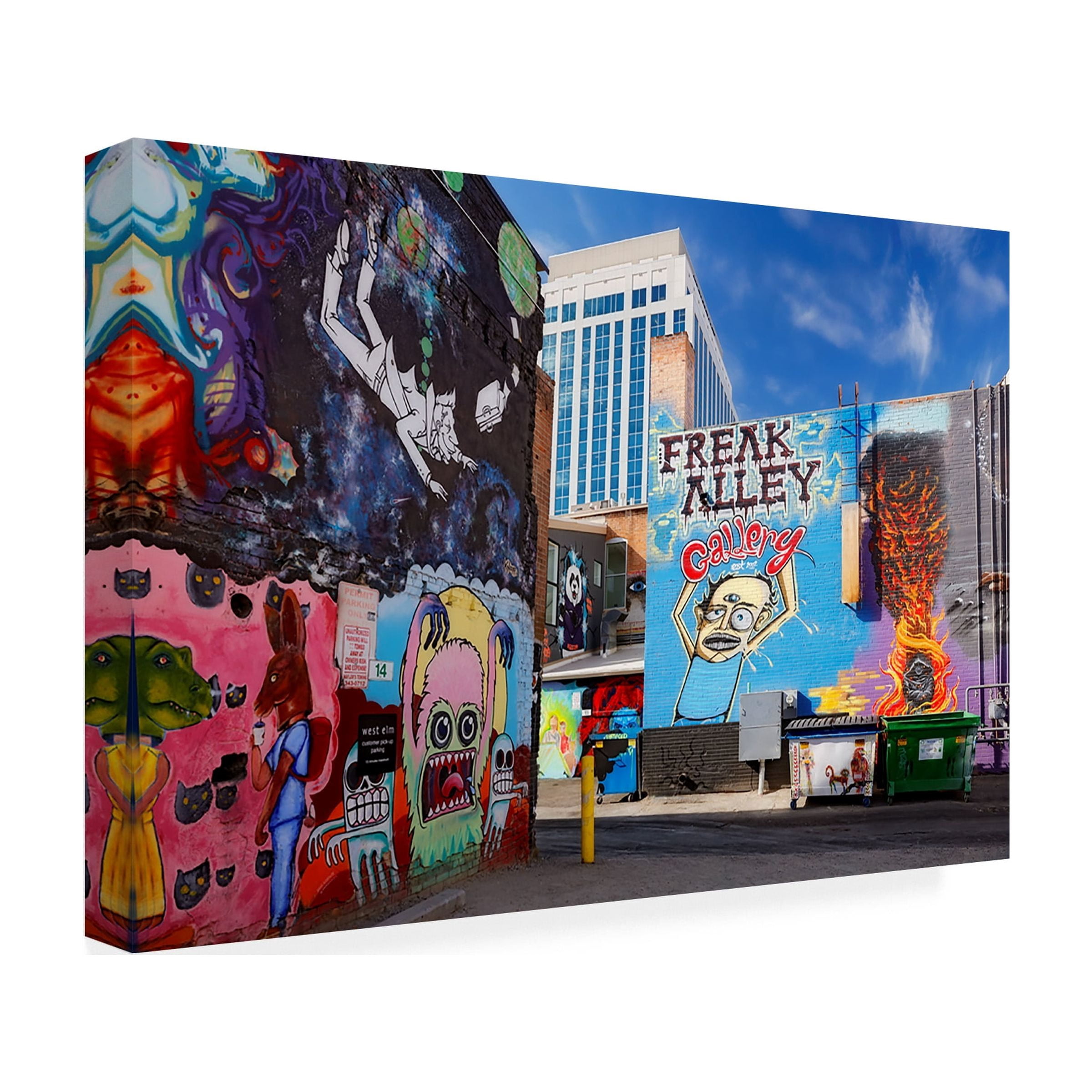 Trademark Fine Art 'Boise Freak Alley' Canvas Art by Mike Jones Photo