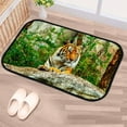 thumbnail image 5 of Floor Door Mats Bath Rugs Tiger in Zoo , Entry Rug Non-Slip Washable Indoor Door Mat, Small Oriental Accent Throw Rug for Bedroom Kitchen Entryway Bathroom 36x24in Carpet Runner, 5 of 7