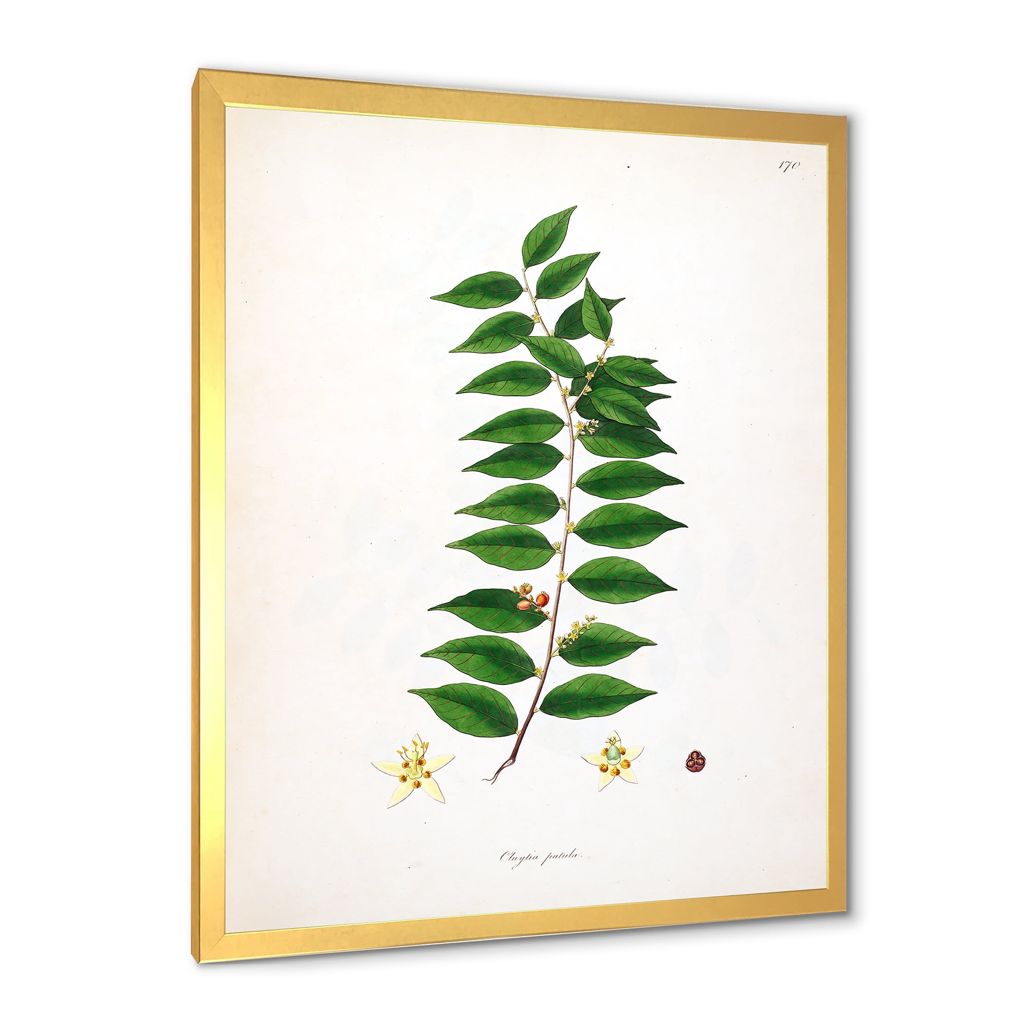Designart 'Ancient London Plants VI' Farmhouse Framed Art Print