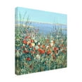 thumbnail image 3 of Trademark Fine Art Tim OToole Seaside Garden II Canvas Wall Art - 24x24, 3 of 5