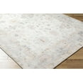 thumbnail image 3 of BoutiqueRugs Valko Traditional Area Rug - Taupe, Light Gray, Gray - 7'10" x 10', 3 of 7