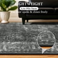 thumbnail image 4 of SORONO KATE 5'x7' Floral Area Rugs for Living Room, Machine Washable Oriental Vintage Distressed Non Slip Soft Indoor Area Carpet, Black, 4 of 7