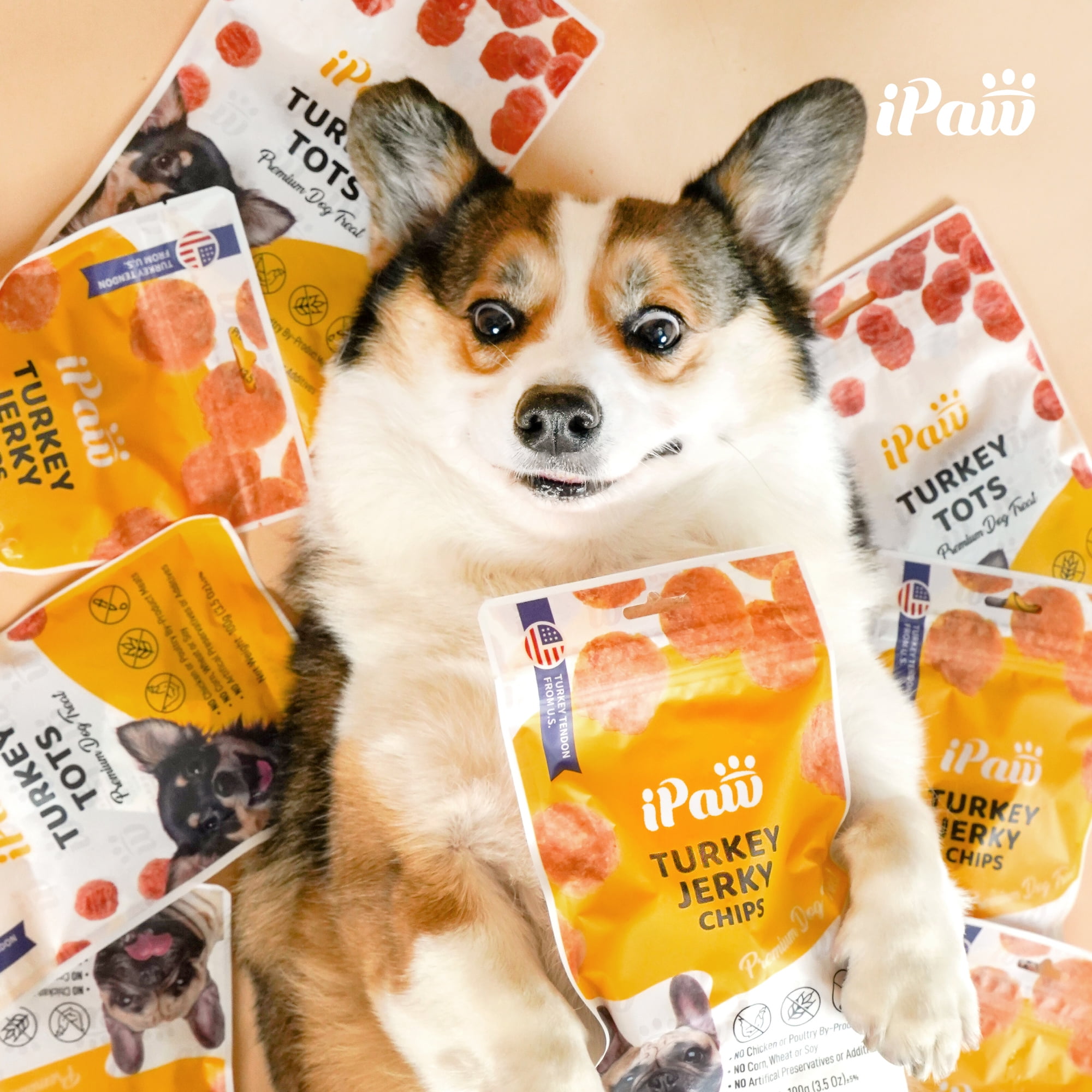 iPaw Dog Treats for Puppy Training, All Natural Human Grade Dog Treat, Hypoallergenic, Easy to Digest (Chicken Tots), 3 Packs