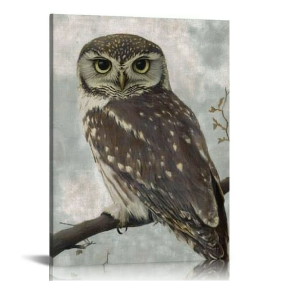 Patifu Owl Canvas Prints Wall Art For Living Room Bedroom Office 12x16 in