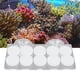 thumbnail image 5 of Coral Frag Rack, Acrílico Fácil Instalación Clear Frag Rack Para Pecera Ccdes Otros, 5 of 8