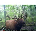 thumbnail image 4 of Minéral Lourd 55lbs. par Rack Stacker, 4 of 11