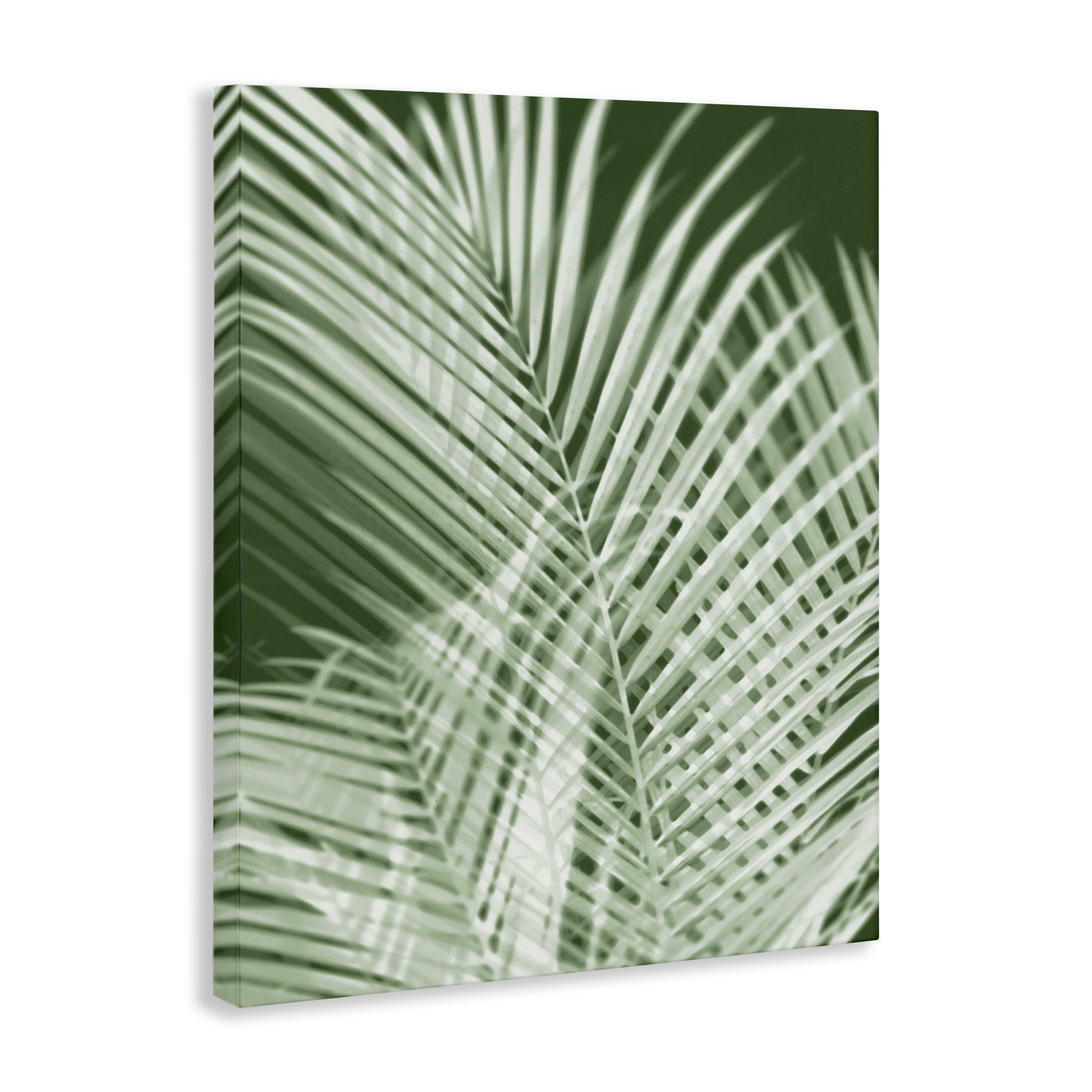 Stupell Industries Green Palm Leaves Botanical & Floral Painting Gallery Wrapped Canvas Art Print Wall Art, 16 x 20