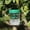 Green, variant on ZZERHUOO Ccvvyr456 Safer Moth for Outdoors Catcher Outdoor For Garden Yard Orchard Reusable