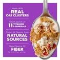 thumbnail image 5 of Kellogg's Special K Breakfast Cereal, Family Breakfast, Fiber Cereal, Family Size, Fruit and Yogurt, 19.1oz Box (1 Box), 5 of 13