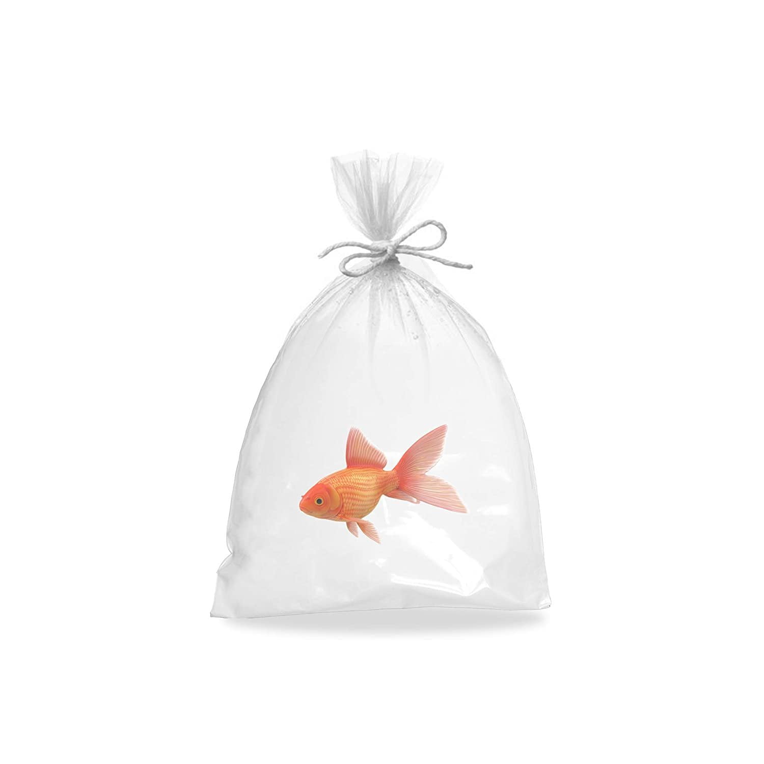 walmart goldfish fish