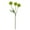 Green, variant on Clearance! FNGZ Artificial Dandelion Bouquet, Decorative Faux Flowers for Indoor Display,Dandelion Artificial Flower Ball Chrysanthemum Bouquet Decorate for Party Home Decor Wedding Plant, Green
