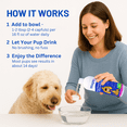 thumbnail image 7 of Wagsy Dog Breath Freshener & Dental Water Additive – Naturally Derived Dog Mouthwash for Bad Breath, Plaque, Tartar & Teeth Cleaning, 7 of 7