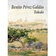 thumbnail image 1 of TOLEDO CASIMIRO LIBROS BENITO PEREZ GALDOS, 1 of 1