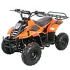 Vitacci Hawk 110cc Kids ATV