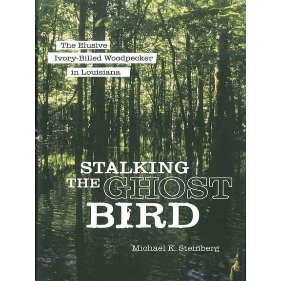 Stalking the Ghost Bird: The Elusive Ivory-Billed Woodpecker in Louisiana, (Paperback)