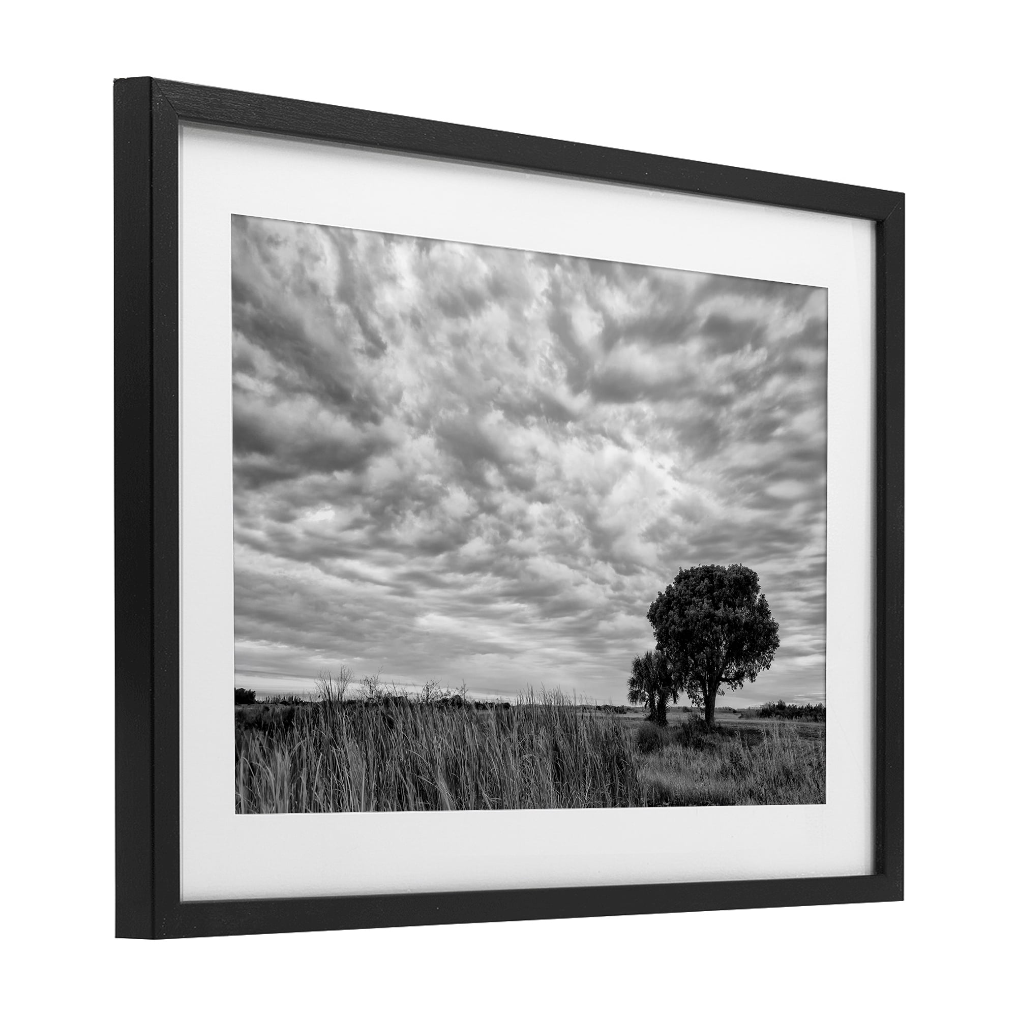 Stupell Industries Solitary Tree Beneath Clouds Black Framed Print Under Glass, design by Jon Evan