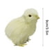 thumbnail image 4 of Juguete de peluche Pollito de peluche Palm Pet Chirpy Chick Easter Chick Juguete de peluche Wmkox8yii HAHFKSH1374, 4 of 5