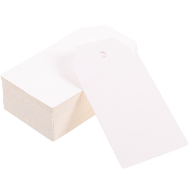 EeaseCA 200pcs Blank Paper Tag Diy Use Hanging Printable And Paintable Blank Hanging Label