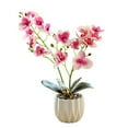 thumbnail image 1 of Película de impresión 3D, doble tenedor, phalaenopsis, bonsái, decoración del hogar, simulación de plantas en macetas, 1 of 5