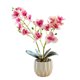 thumbnail image 1 of Película de impresión 3D de doble horquilla, bonsái phalaenopsis, decoración del hogar, simulación de plantas en macetas, 1 of 5