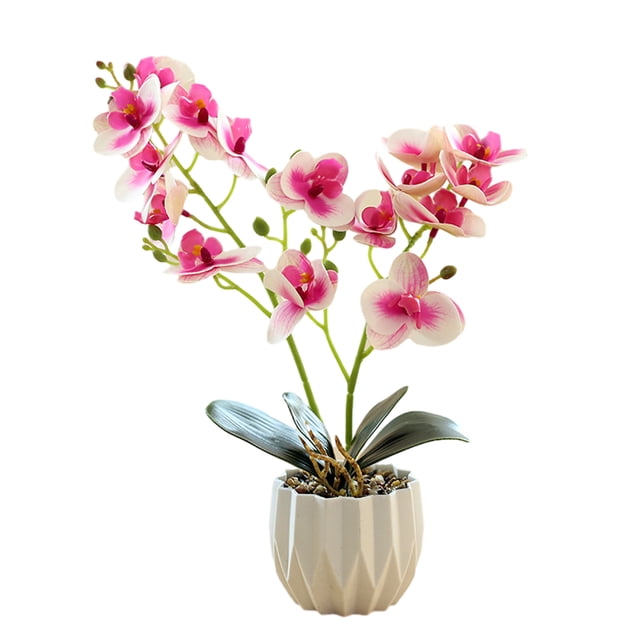 Película de impresión 3D, doble tenedor, phalaenopsis, bonsái, decoración del hogar, simulación de plantas en macetas