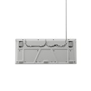 SteelSeries Apex 3 TKL RGB Wired Gaming Keyboard — Water and Dust Resistant — Whisper-Quiet Gaming Switch, White