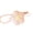 Pink, variant on Yellow Floral Design Tape Measure Petal Shaped Soft Flexible Retractable Measuring Ruler with One Click Button Side Buckle and Wrist Strap for Sewing Craft Body Measurement Portable 2 Meters Length
