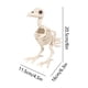 thumbnail image 3 of Seyotauo Bird Skeleton Skeleton Halloween Decoration 8 Inch Animal Skeleton Plastic Bones with Posable Joints for Yard Garden Graveyard Cemetery Outdoor Indoor Table Top Decorations, 3 of 6